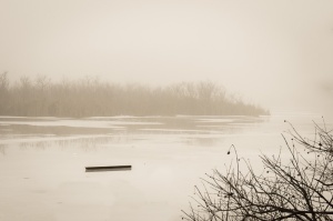 fog over Franklin Pond, Cambridge Ontario