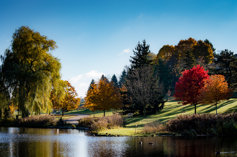 fall colours at Churchill Park, Cambridge Ontario