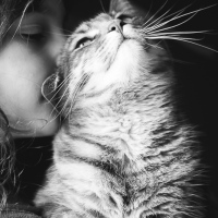 Kitty love.